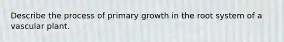 Describe the process of primary growth in the root system of a vascular plant.