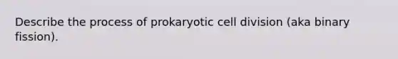 Describe the process of prokaryotic cell division (aka binary fission).