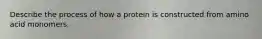 Describe the process of how a protein is constructed from amino acid monomers.