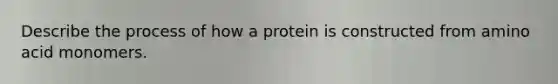 Describe the process of how a protein is constructed from amino acid monomers.