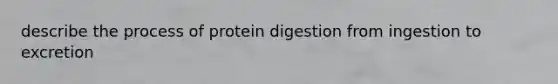 describe the process of protein digestion from ingestion to excretion