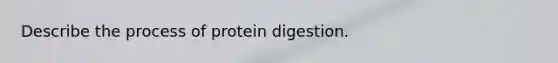 Describe the process of protein digestion.