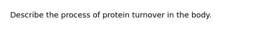 Describe the process of protein turnover in the body.