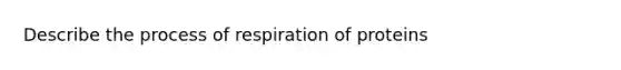 Describe the process of respiration of proteins