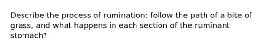 Describe the process of rumination: follow the path of a bite of grass, and what happens in each section of the ruminant stomach?