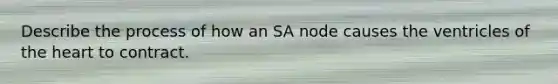 Describe the process of how an SA node causes the ventricles of the heart to contract.