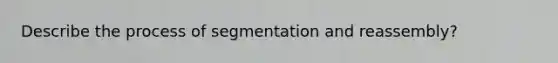 Describe the process of segmentation and reassembly?