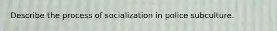 Describe the process of socialization in police subculture.