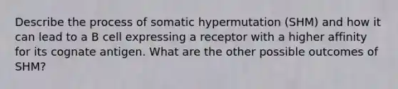 Describe the process of somatic hypermutation (SHM) and how it can lead to a B cell expressing a receptor with a higher affinity for its cognate antigen. What are the other possible outcomes of SHM?