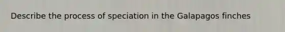 Describe the process of speciation in the Galapagos finches