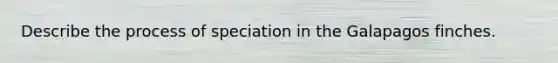 Describe the process of speciation in the Galapagos finches.