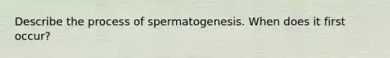 Describe the process of spermatogenesis. When does it first occur?