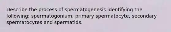 Describe the process of spermatogenesis identifying the following: spermatogonium, primary spermatocyte, secondary spermatocytes and spermatids.