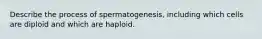 Describe the process of spermatogenesis, including which cells are diploid and which are haploid.