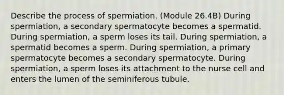 Describe the process of spermiation. (Module 26.4B) During spermiation, a secondary spermatocyte becomes a spermatid. During spermiation, a sperm loses its tail. During spermiation, a spermatid becomes a sperm. During spermiation, a primary spermatocyte becomes a secondary spermatocyte. During spermiation, a sperm loses its attachment to the nurse cell and enters the lumen of the seminiferous tubule.