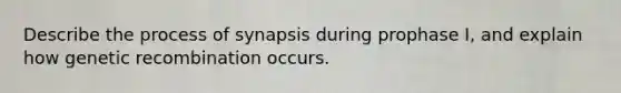 Describe the process of synapsis during prophase I, and explain how genetic recombination occurs.