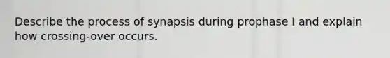 Describe the process of synapsis during prophase I and explain how crossing-over occurs.