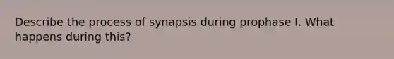 Describe the process of synapsis during prophase I. What happens during this?