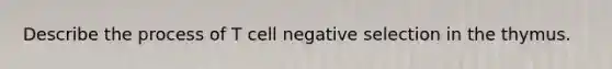 Describe the process of T cell negative selection in the thymus.
