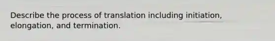 Describe the process of translation including initiation, elongation, and termination.