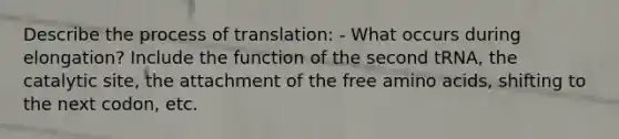 Describe the process of translation: - What occurs during elongation? Include the function of the second tRNA, the catalytic site, the attachment of the free amino acids, shifting to the next codon, etc.