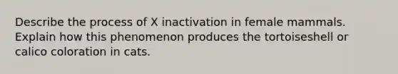 Describe the process of X inactivation in female mammals. Explain how this phenomenon produces the tortoiseshell or calico coloration in cats.