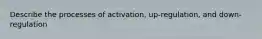 Describe the processes of activation, up-regulation, and down-regulation