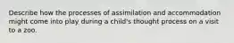 Describe how the processes of assimilation and accommodation might come into play during a child's thought process on a visit to a zoo.