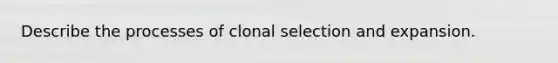 Describe the processes of clonal selection and expansion.