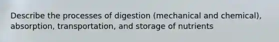 Describe the processes of digestion (mechanical and chemical), absorption, transportation, and storage of nutrients