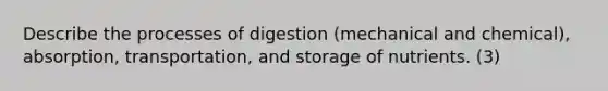 Describe the processes of digestion (mechanical and chemical), absorption, transportation, and storage of nutrients. (3)