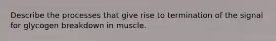 Describe the processes that give rise to termination of the signal for glycogen breakdown in muscle.