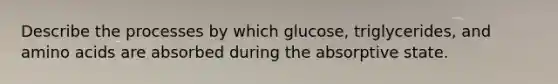 Describe the processes by which glucose, triglycerides, and amino acids are absorbed during the absorptive state.