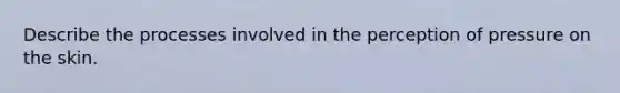Describe the processes involved in the perception of pressure on the skin.