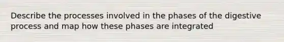 Describe the processes involved in the phases of the digestive process and map how these phases are integrated