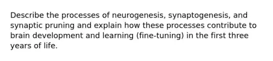 Describe the processes of neurogenesis, synaptogenesis, and synaptic pruning and explain how these processes contribute to brain development and learning (fine-tuning) in the first three years of life.