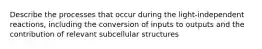 Describe the processes that occur during the light-independent reactions, including the conversion of inputs to outputs and the contribution of relevant subcellular structures