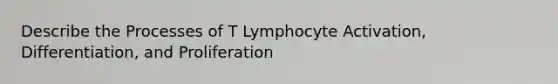 Describe the Processes of T Lymphocyte Activation, Differentiation, and Proliferation