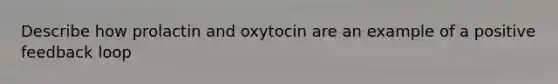 Describe how prolactin and oxytocin are an example of a positive feedback loop