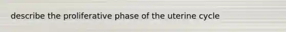 describe the proliferative phase of the uterine cycle