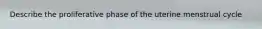 Describe the proliferative phase of the uterine menstrual cycle