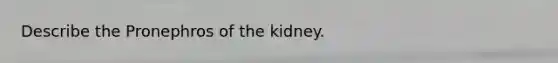 Describe the Pronephros of the kidney.