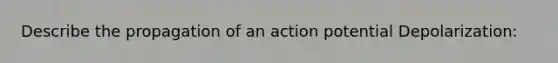 Describe the propagation of an action potential Depolarization: