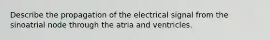 Describe the propagation of the electrical signal from the sinoatrial node through the atria and ventricles.