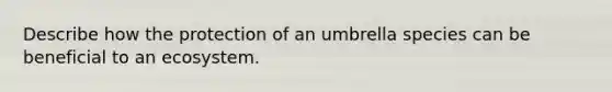Describe how the protection of an umbrella species can be beneficial to an ecosystem.