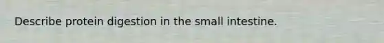 Describe protein digestion in the small intestine.