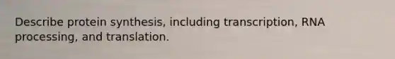 Describe protein synthesis, including transcription, RNA processing, and translation.