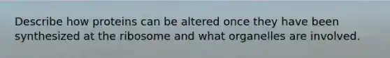 Describe how proteins can be altered once they have been synthesized at the ribosome and what organelles are involved.