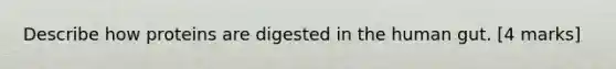 Describe how proteins are digested in the human gut. [4 marks]