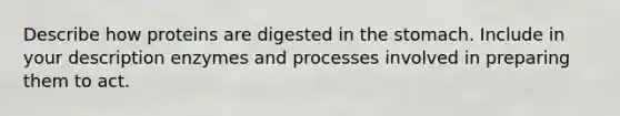 Describe how proteins are digested in the stomach. Include in your description enzymes and processes involved in preparing them to act.